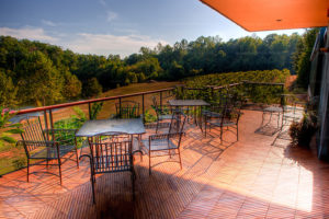 The deck at Glass House Winery with views of vineyards and pond beyond. Glass House Winery, Free Union VA.