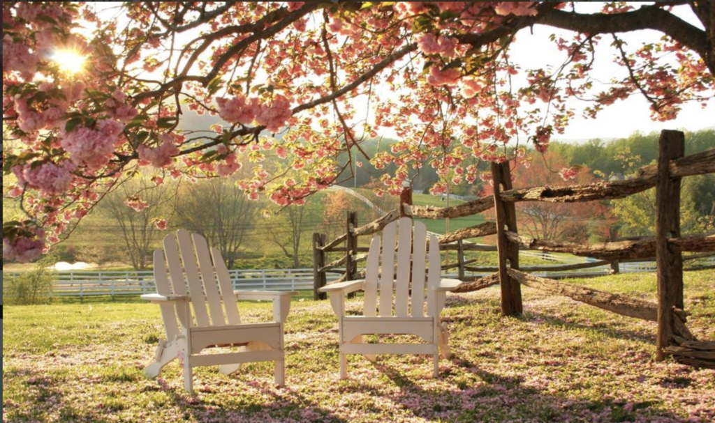 Romantic Bed & Breakfasts For Wine Lovers In Virginia