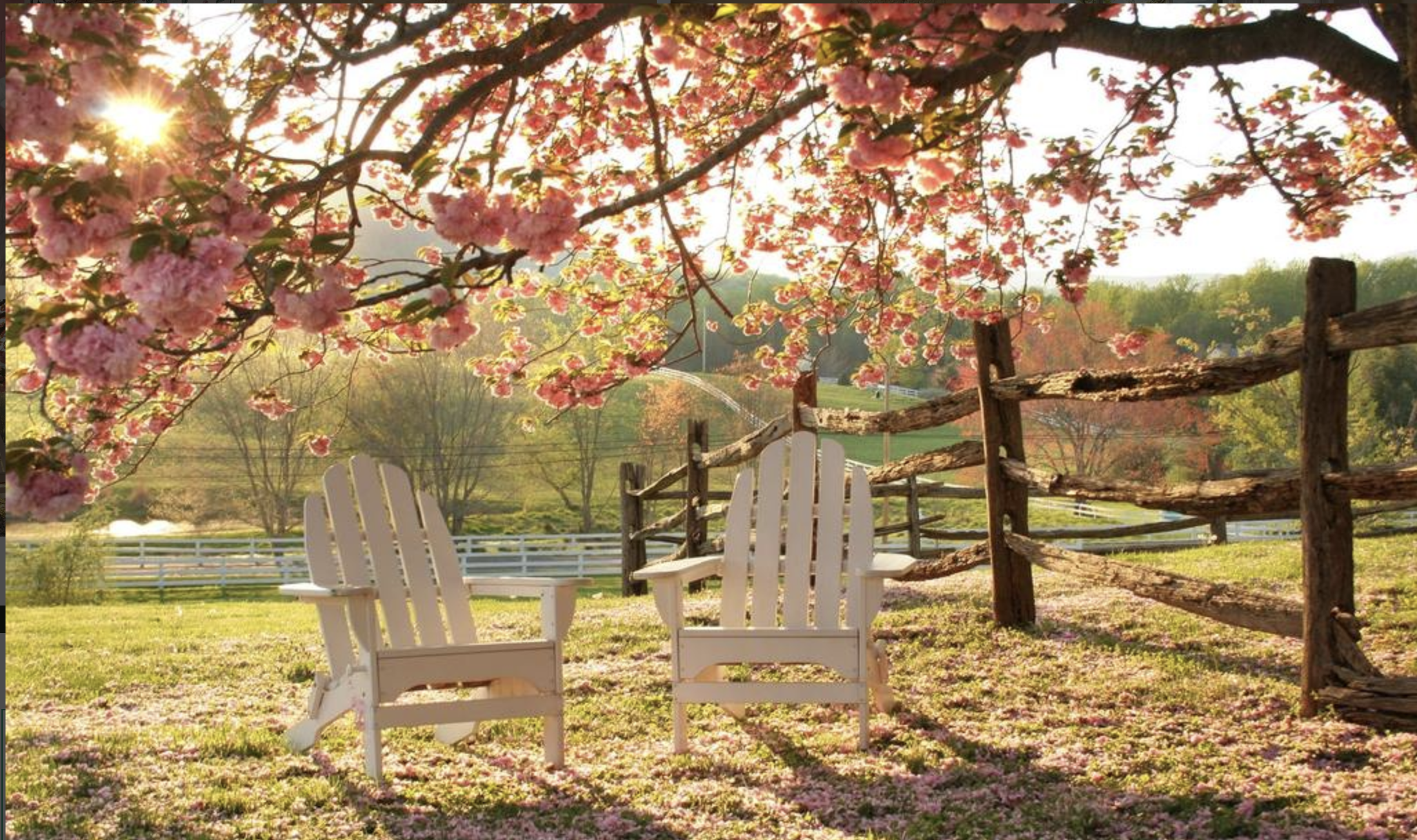 Romantic Bed & Breakfasts For Wine Lovers In Virginia